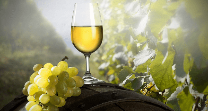 vinho-verde-porto santo - 15 Drinks You Must Try in Madeira Island